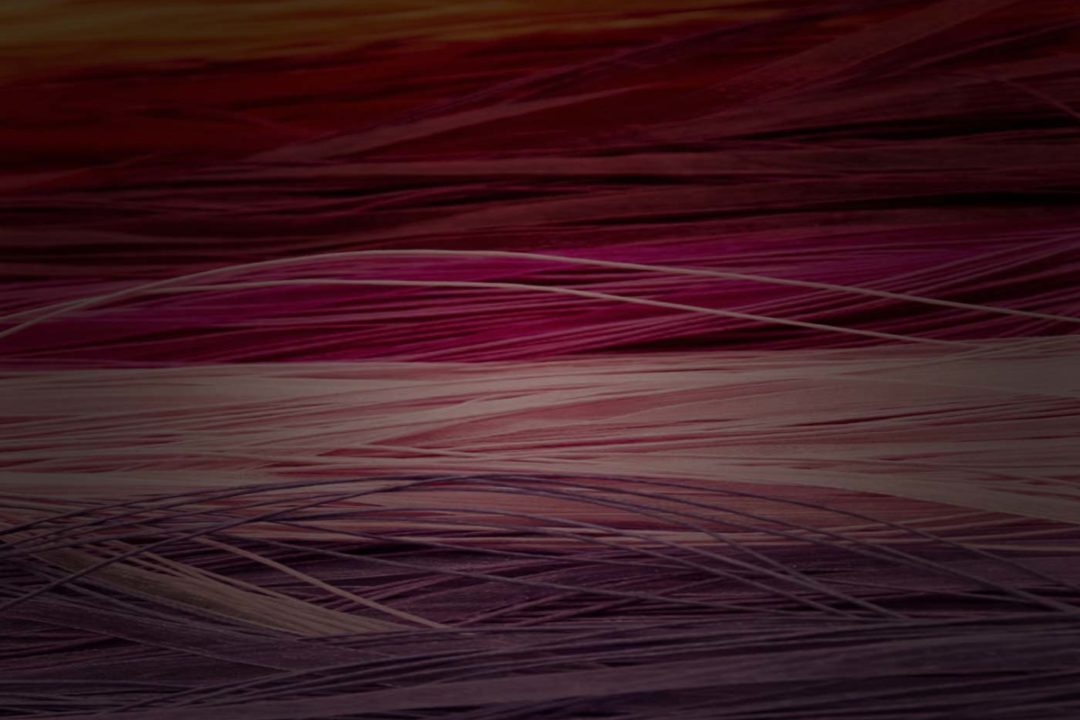 Bio kompozitné materiály